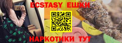 крисы Камышлов