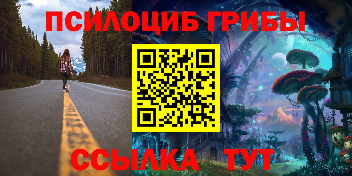 Псилоцибиновые грибы прущие грибы Малоярославец